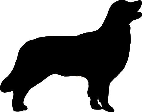 Golden Retriever (Zip file with SVG, DXF, PDF, and png file) Instant Download
